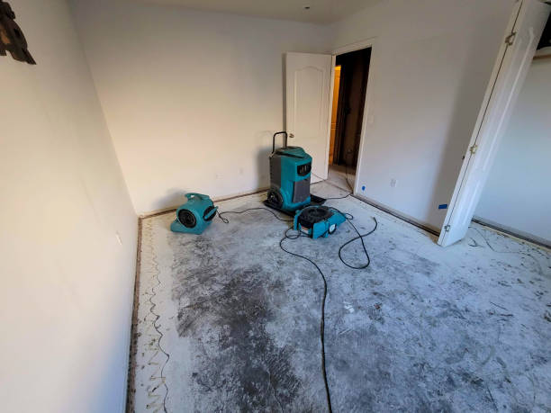 Best Water damage restoration near me  in Sandy, UT