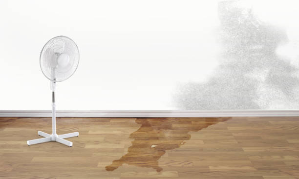 Best Water damage contractors near me  in Sandy, UT