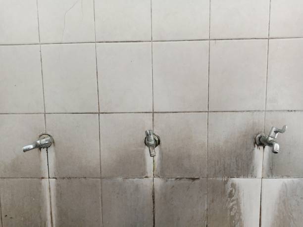 Best Ceiling water damage repair  in Sandy, UT